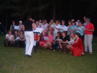 el Grillo, krekels in Drenthe